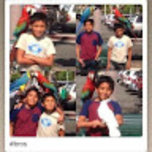 Meet your Posher, Brett